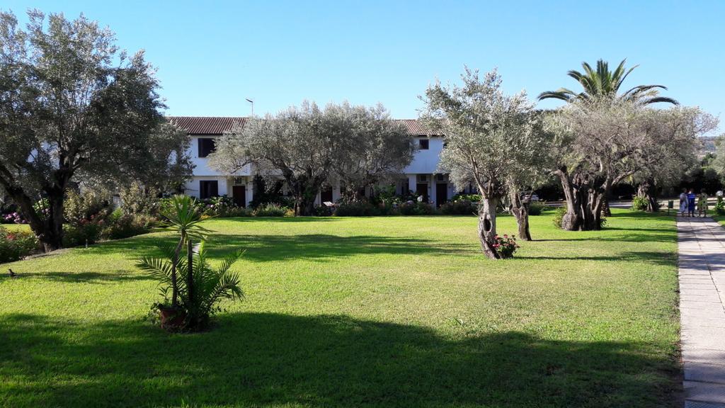 Nausicaa Village - Esterni 1