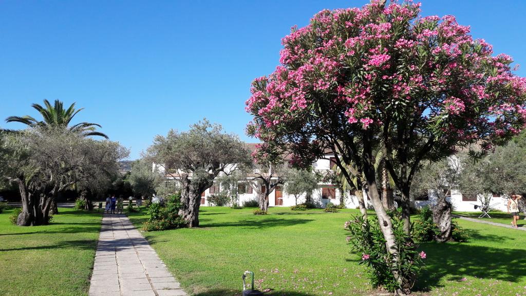 Nausicaa Village - Esterni 2