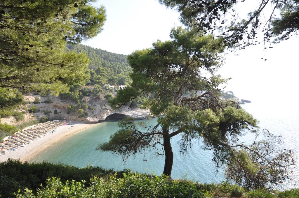Pugnochiuso Resort - Hotel degli Ulivi - Spiaggia 1