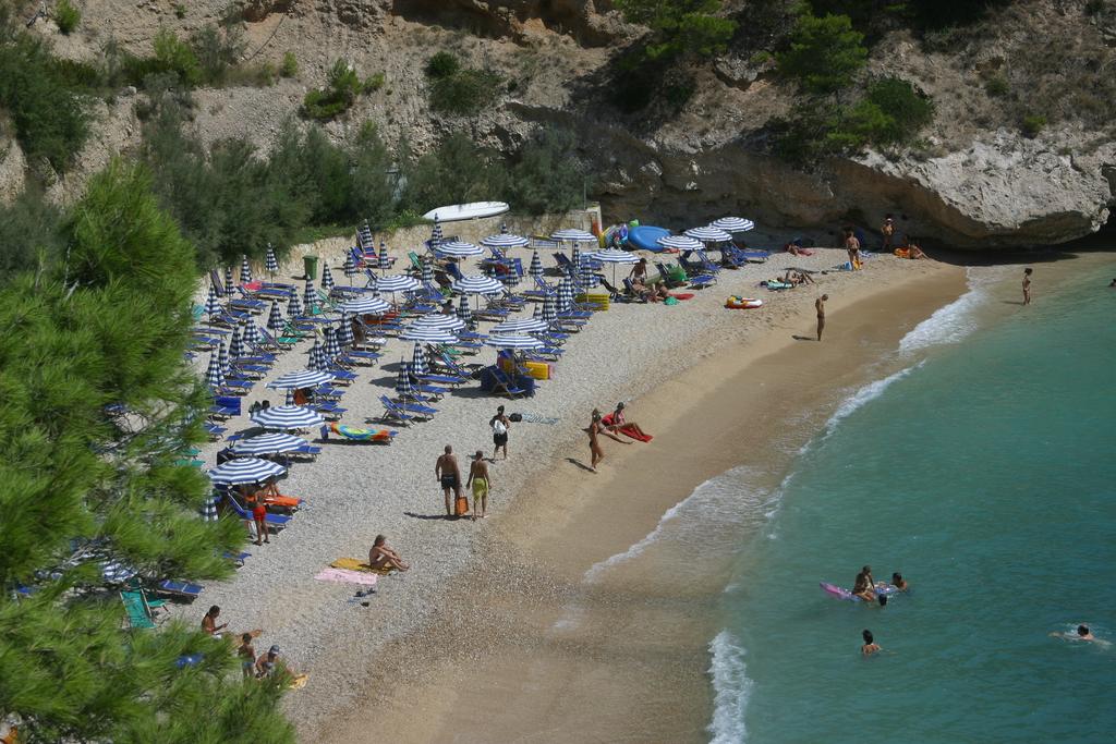 Pugnochiuso Resort - Hotel degli Ulivi - Spiaggia 3