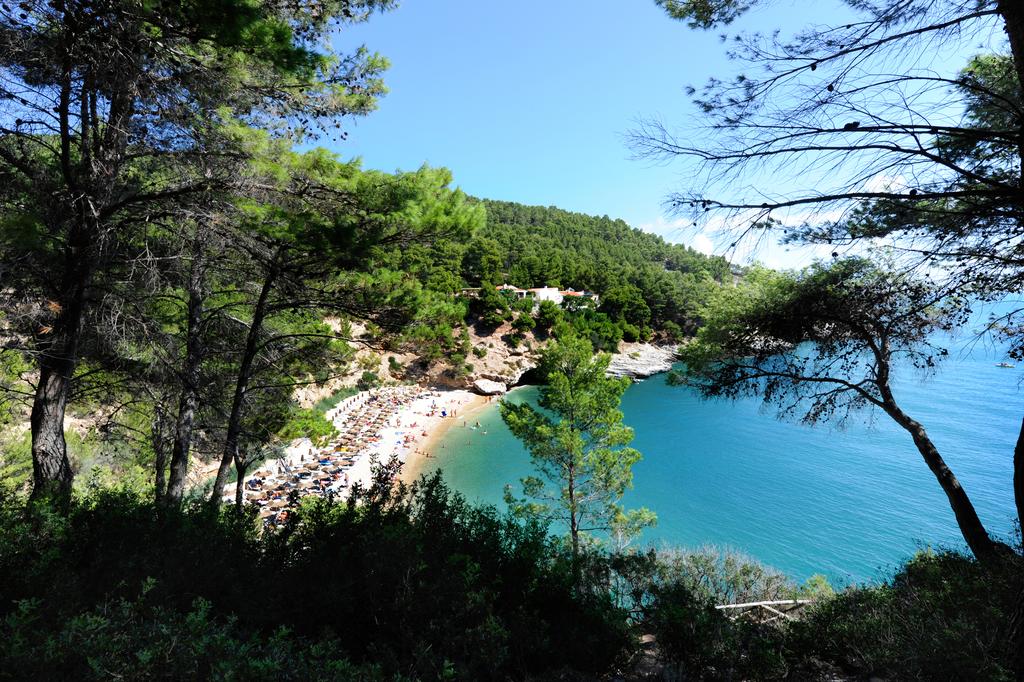 Pugnochiuso Resort - Hotel del Faro - Panorama 5
