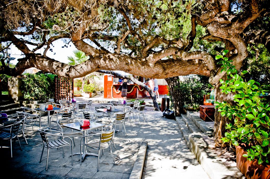 Ticho's Hotel - Esterni 6